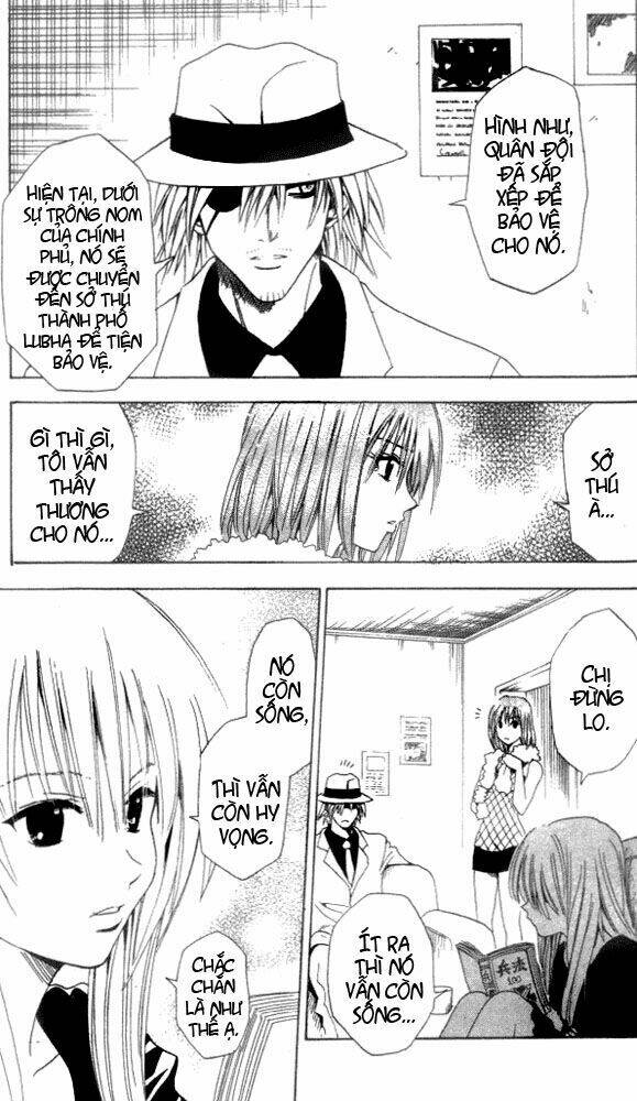 Sát Thủ Mèo Đen Chapter 38 - Trang 2