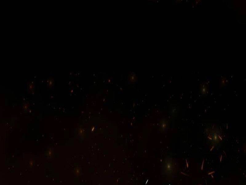 Sát Thủ Peter Chapter 36.5 - Trang 2