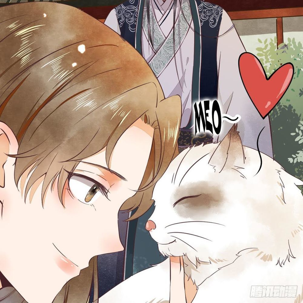 Sát Thủ Vương Phi Không Dễ Chọc Chapter 1 - Trang 2