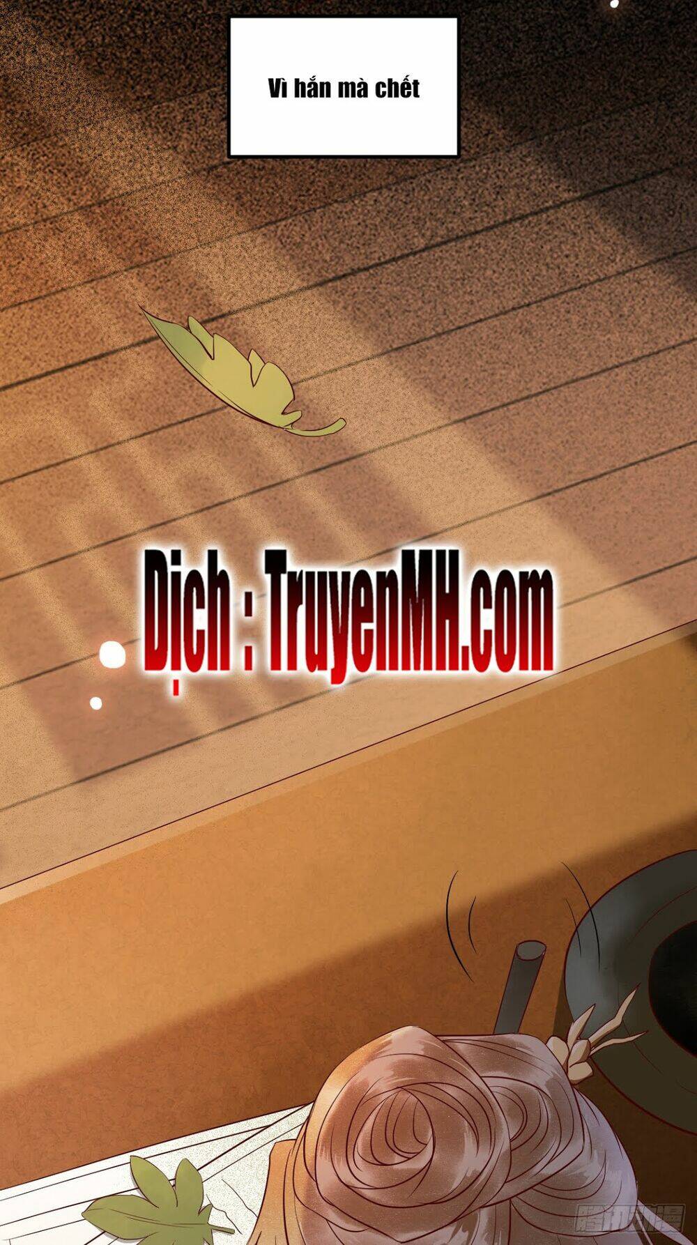 Sát Thủ Vương Phi Không Dễ Chọc Chapter 17.5 - Trang 2