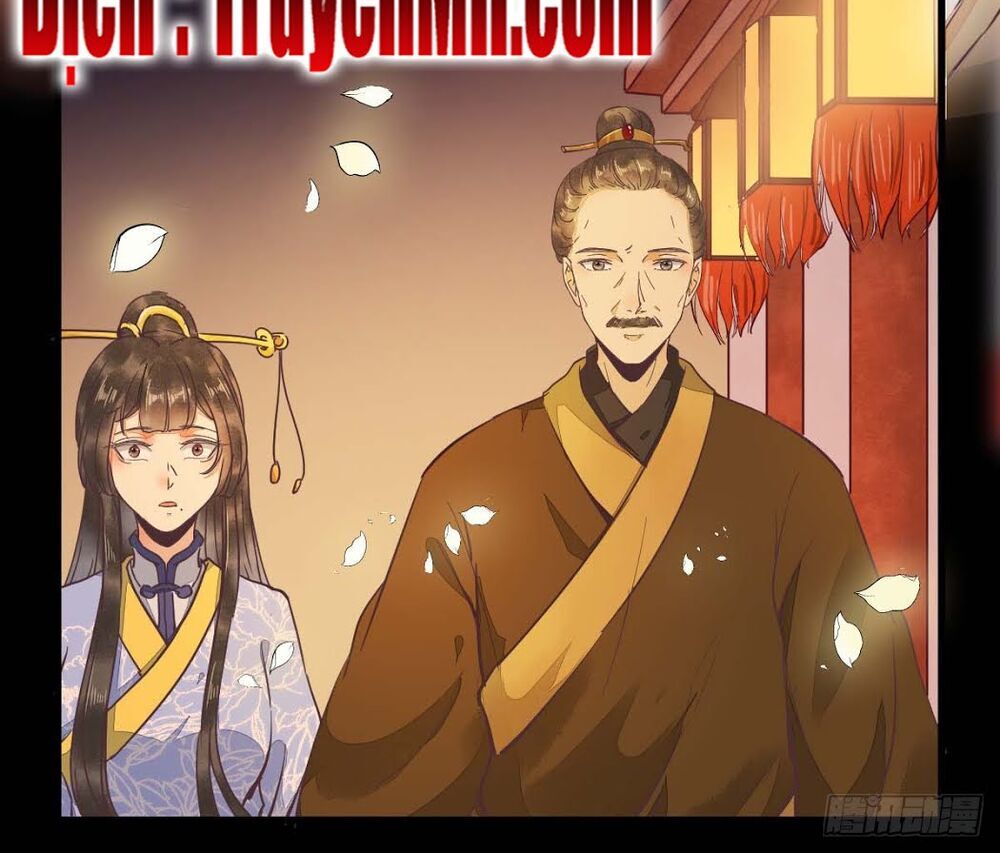 Sát Thủ Vương Phi Không Dễ Chọc Chapter 17 - Trang 2