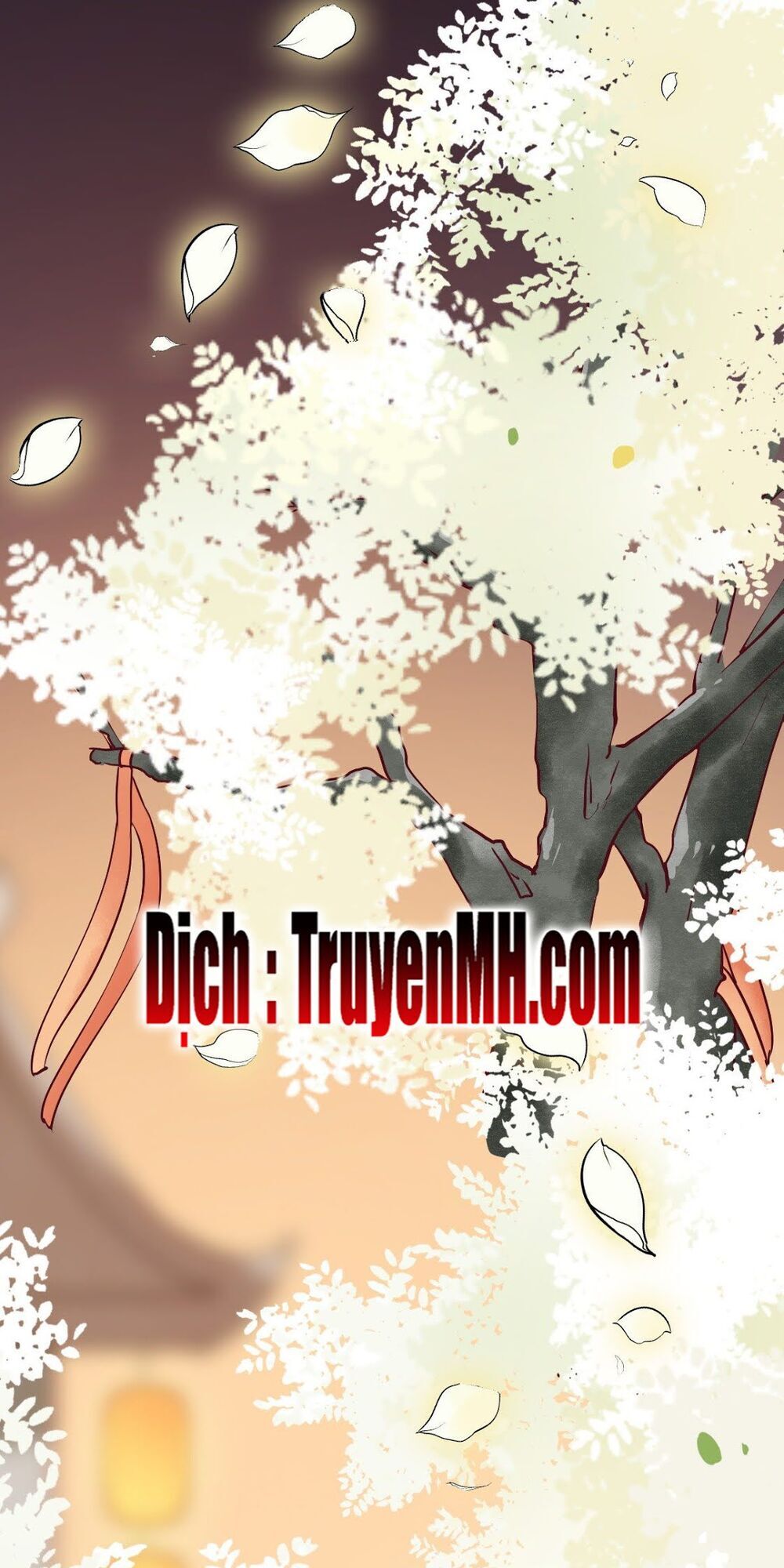 Sát Thủ Vương Phi Không Dễ Chọc Chapter 17 - Trang 2