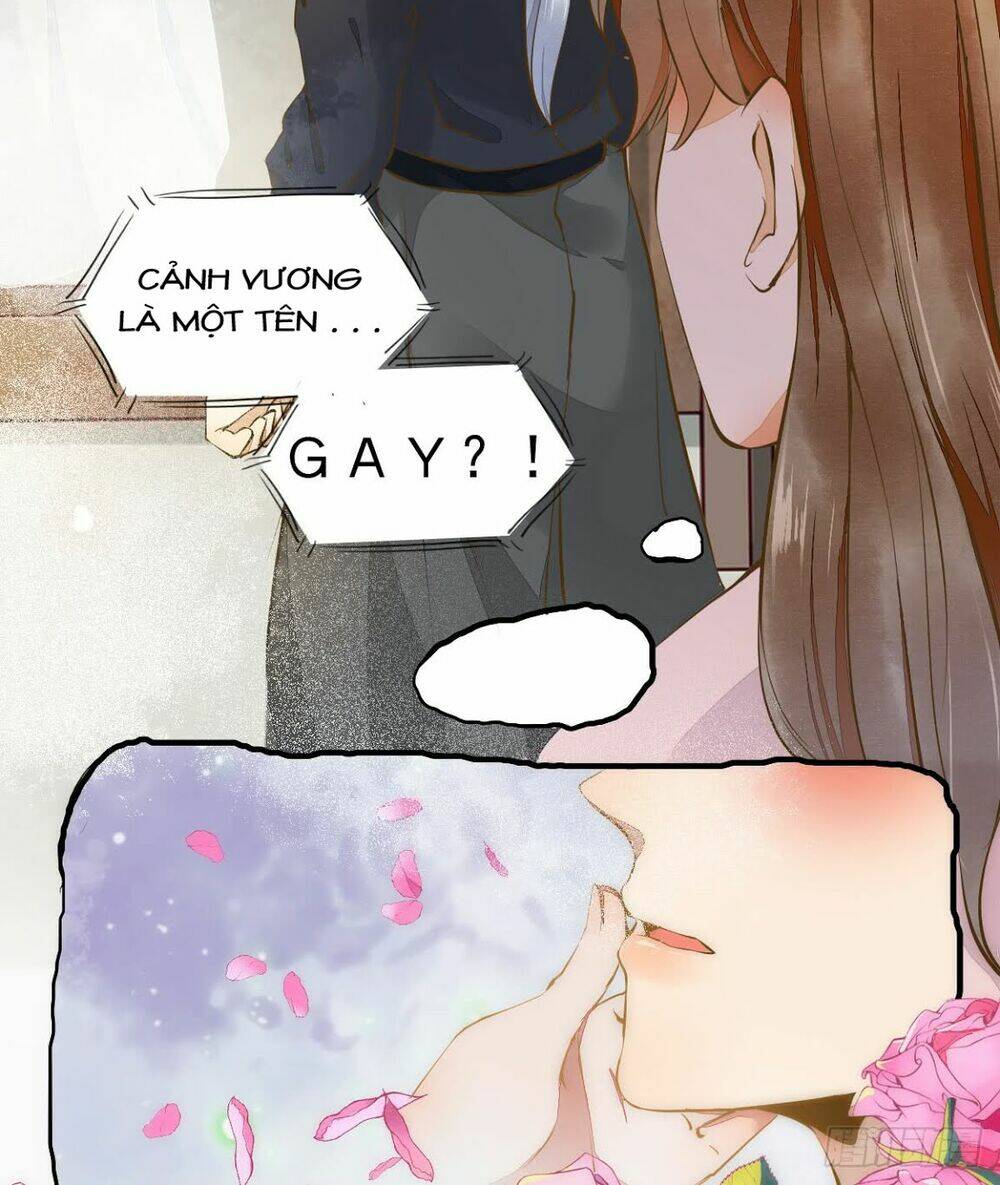 Sát Thủ Vương Phi Không Dễ Chọc Chapter 4.5 - Trang 2