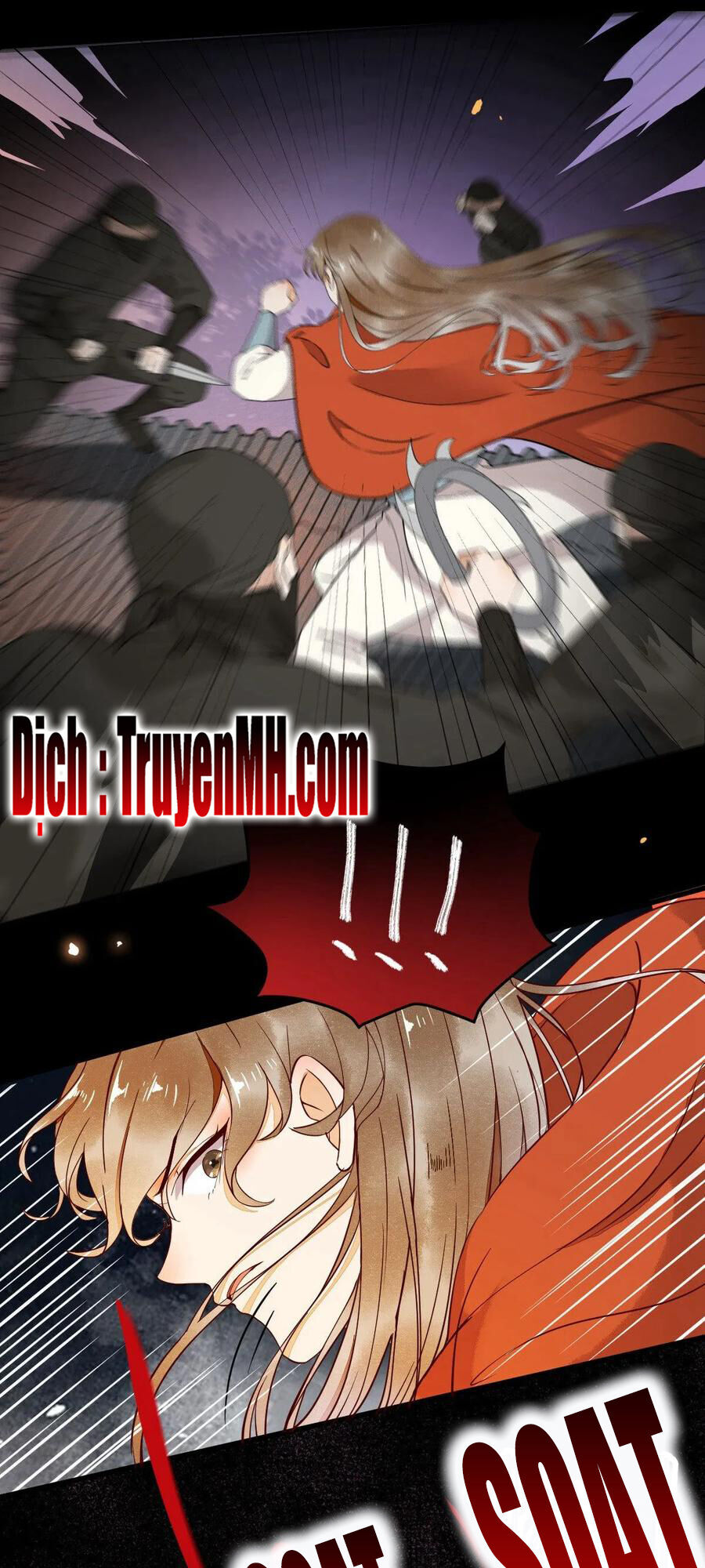 Sát Thủ Vương Phi Không Dễ Chọc Chapter 40 - Trang 2