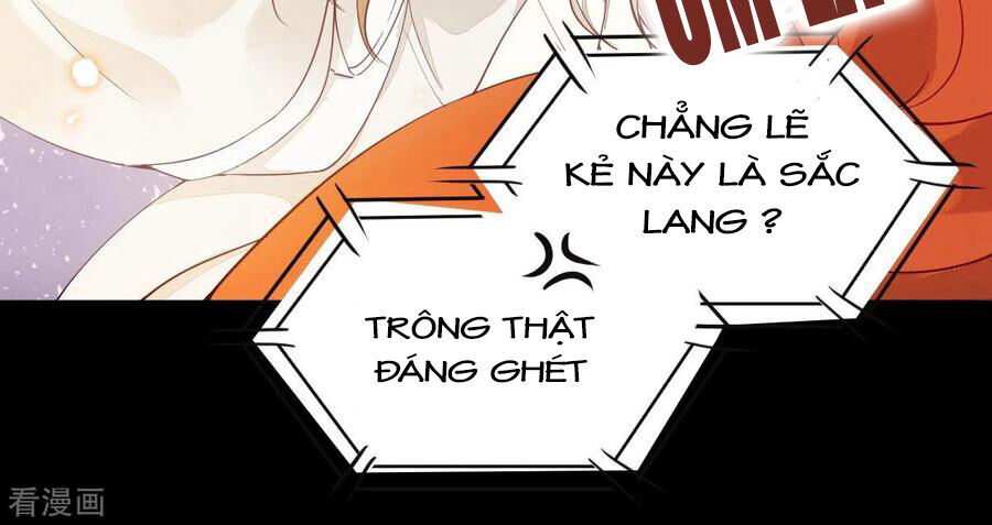 Sát Thủ Vương Phi Không Dễ Chọc Chapter 40 - Trang 2