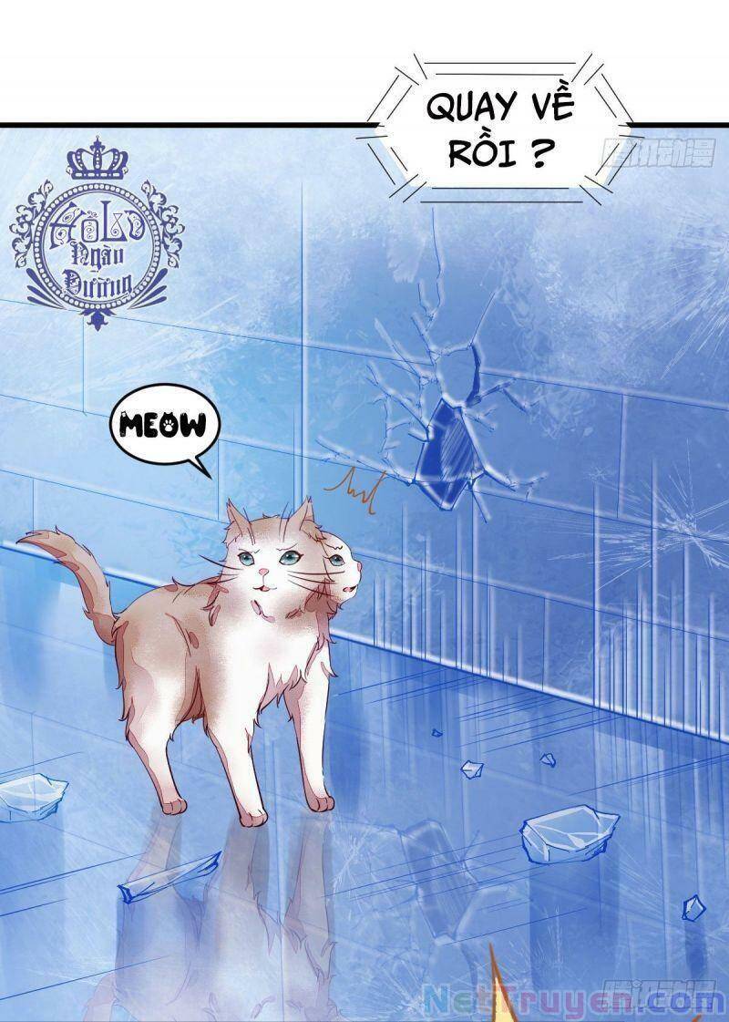 Sát Thủ Vương Phi Không Dễ Chọc Chapter 44 - Trang 2