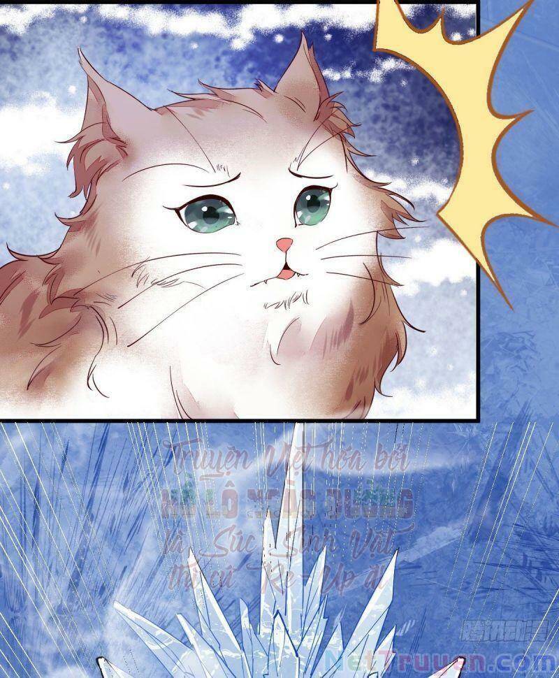 Sát Thủ Vương Phi Không Dễ Chọc Chapter 44 - Trang 2