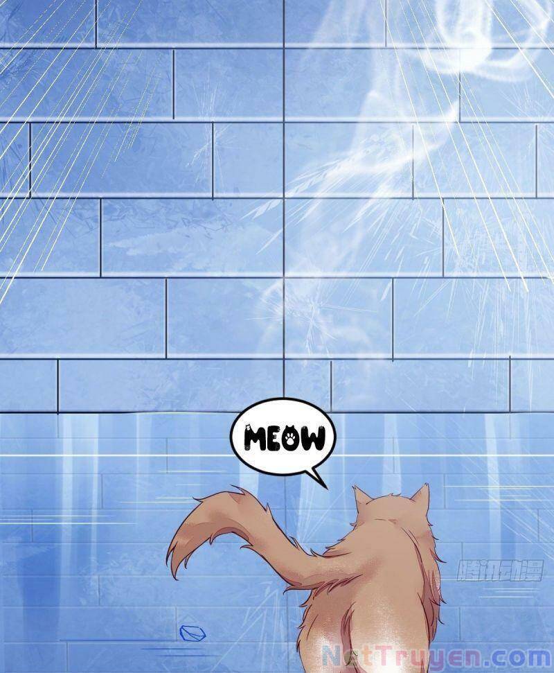 Sát Thủ Vương Phi Không Dễ Chọc Chapter 44 - Trang 2