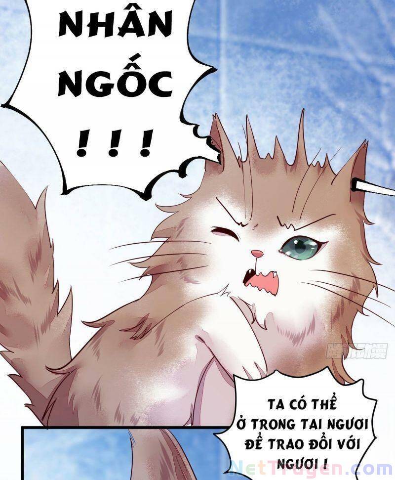 Sát Thủ Vương Phi Không Dễ Chọc Chapter 44 - Trang 2