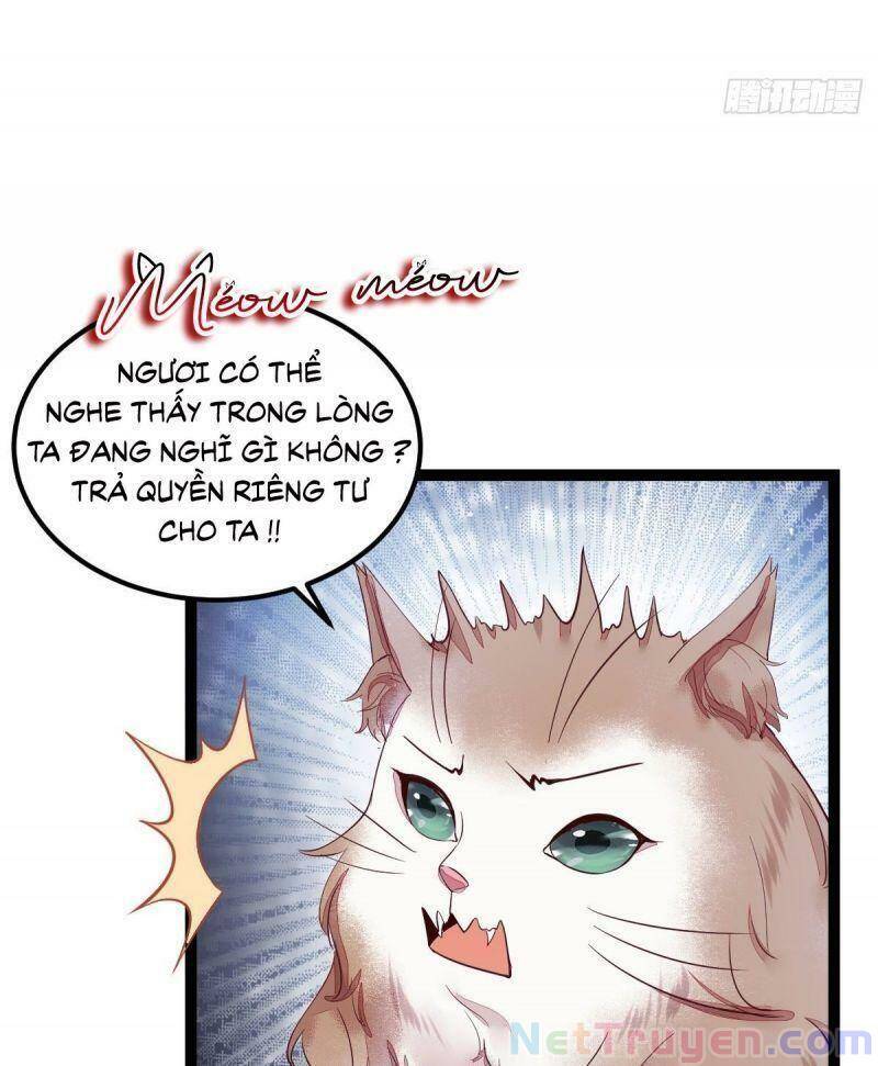 Sát Thủ Vương Phi Không Dễ Chọc Chapter 44 - Trang 2