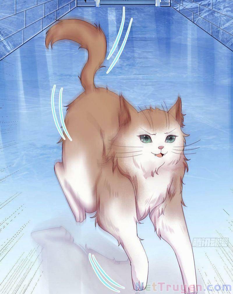 Sát Thủ Vương Phi Không Dễ Chọc Chapter 44 - Trang 2