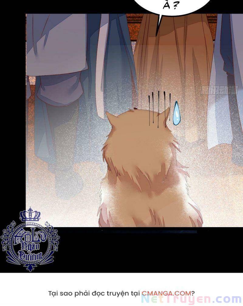Sát Thủ Vương Phi Không Dễ Chọc Chapter 44 - Trang 2