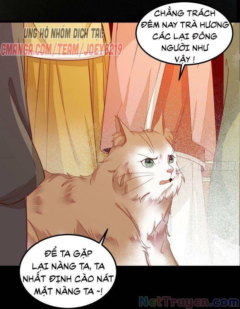 Sát Thủ Vương Phi Không Dễ Chọc Chapter 44 - Trang 2