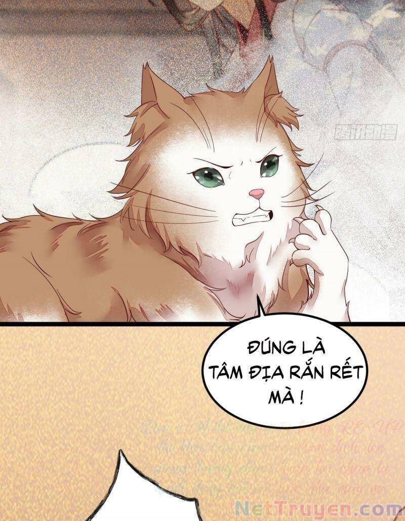 Sát Thủ Vương Phi Không Dễ Chọc Chapter 44 - Trang 2