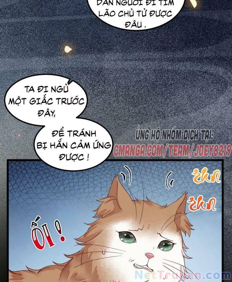 Sát Thủ Vương Phi Không Dễ Chọc Chapter 44 - Trang 2