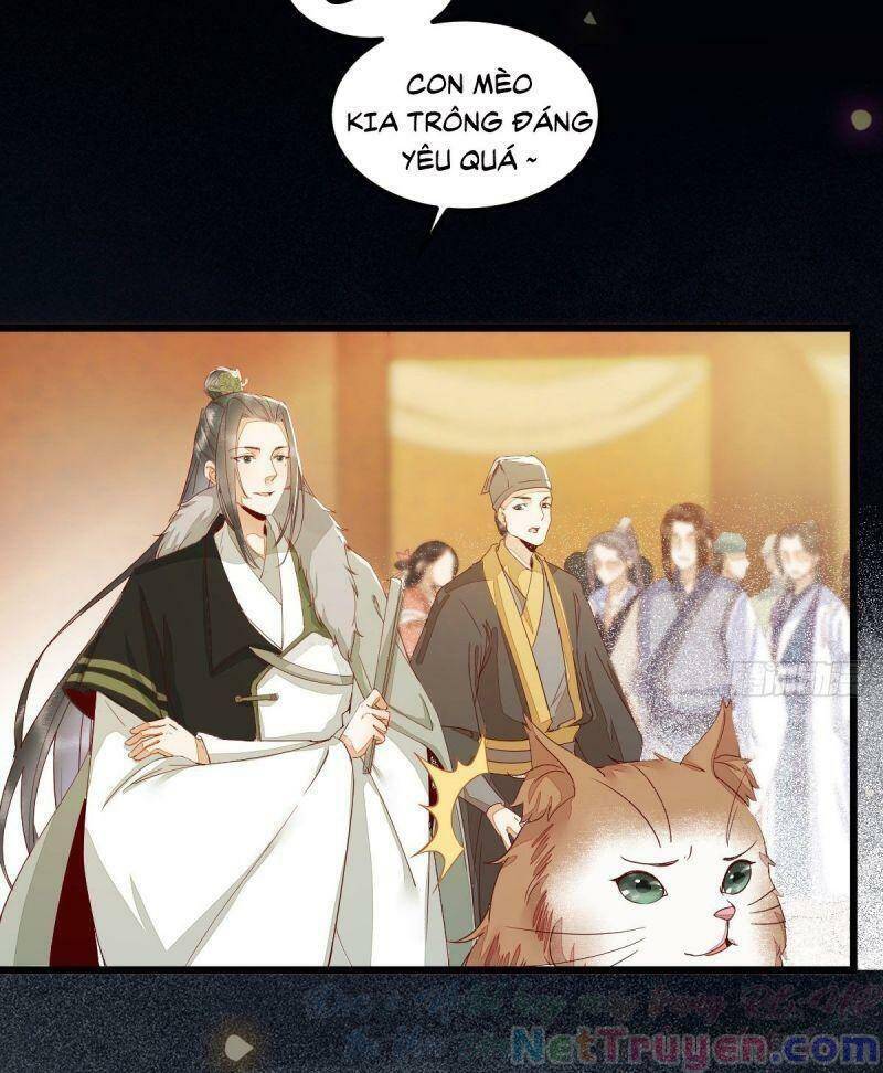 Sát Thủ Vương Phi Không Dễ Chọc Chapter 44 - Trang 2