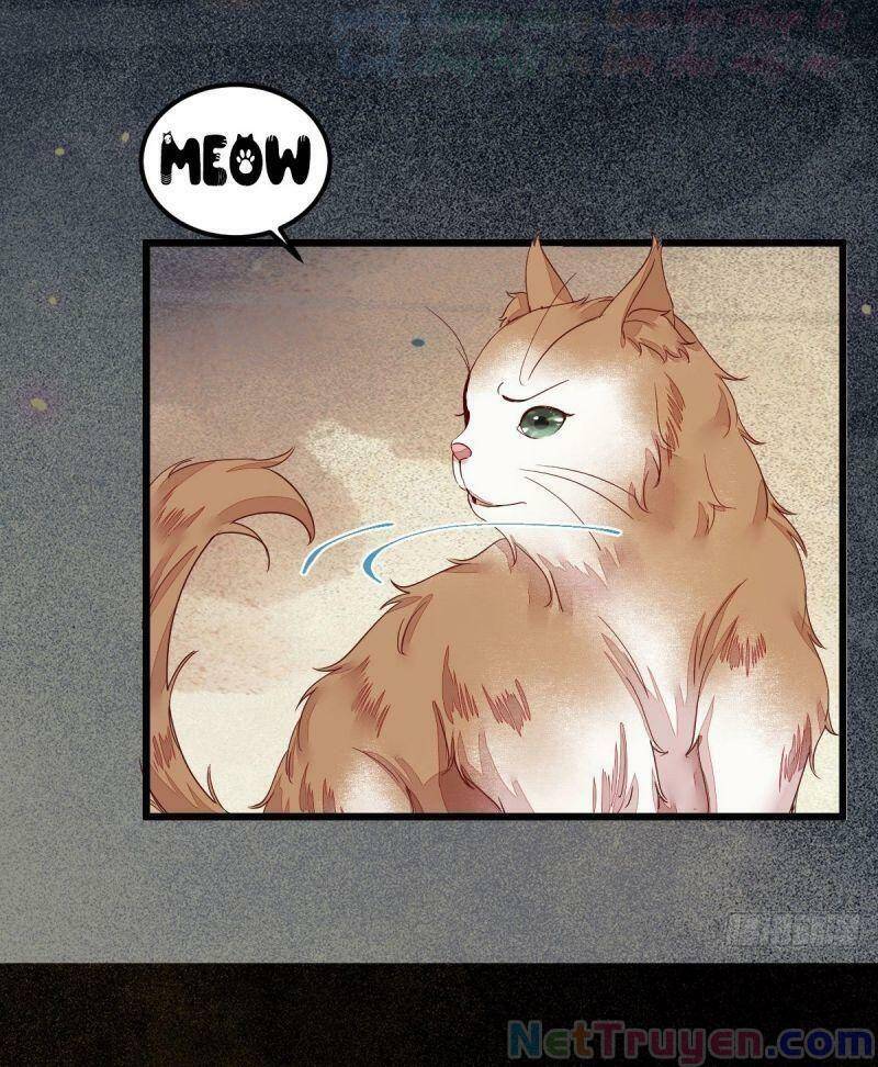 Sát Thủ Vương Phi Không Dễ Chọc Chapter 44 - Trang 2