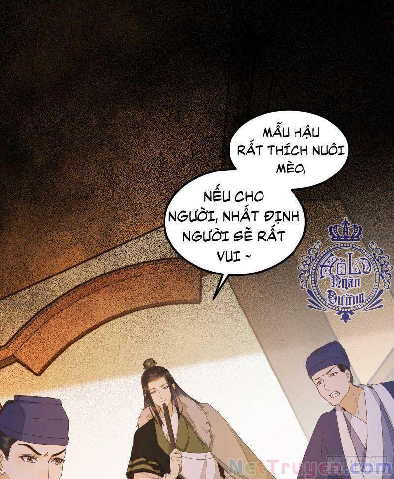 Sát Thủ Vương Phi Không Dễ Chọc Chapter 44 - Trang 2