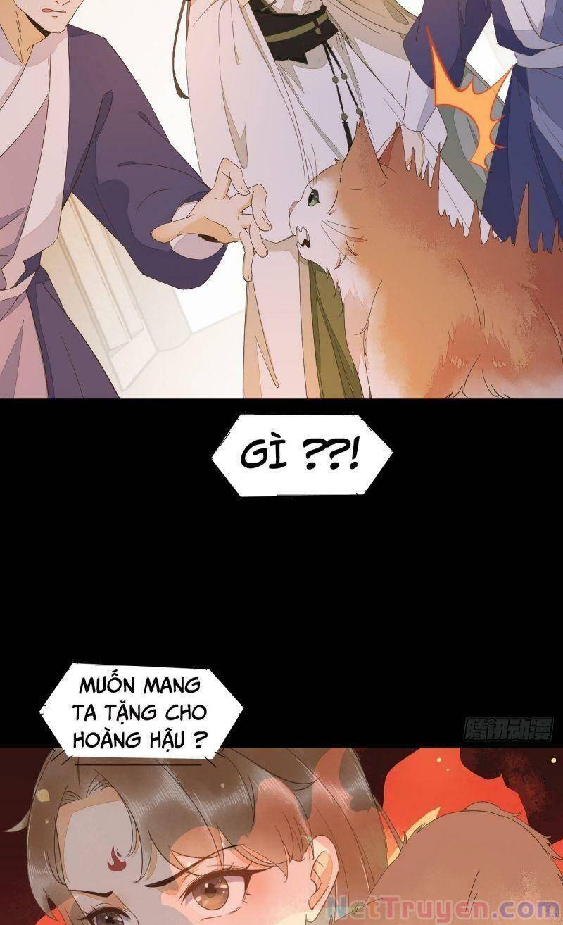 Sát Thủ Vương Phi Không Dễ Chọc Chapter 44 - Trang 2