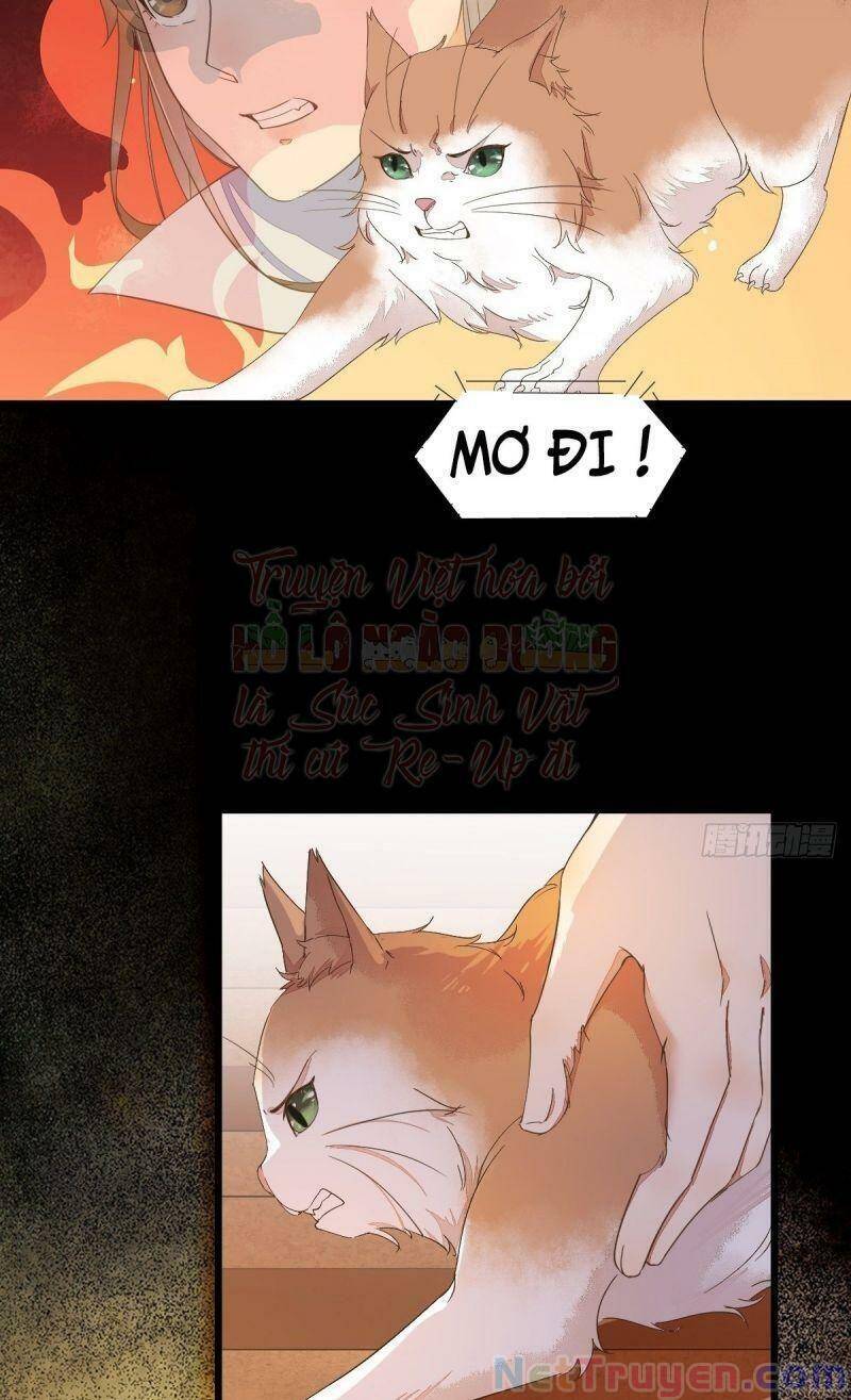 Sát Thủ Vương Phi Không Dễ Chọc Chapter 44 - Trang 2