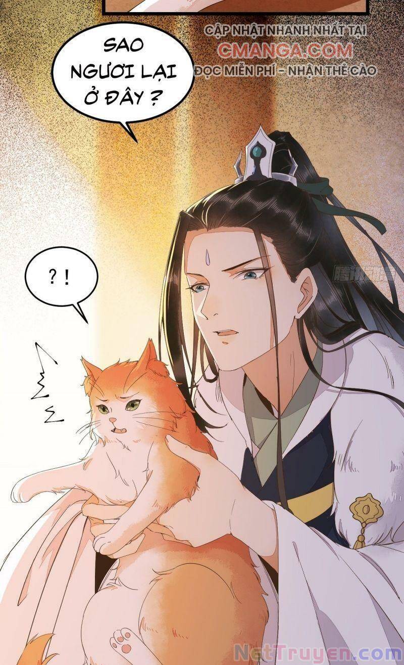 Sát Thủ Vương Phi Không Dễ Chọc Chapter 44 - Trang 2