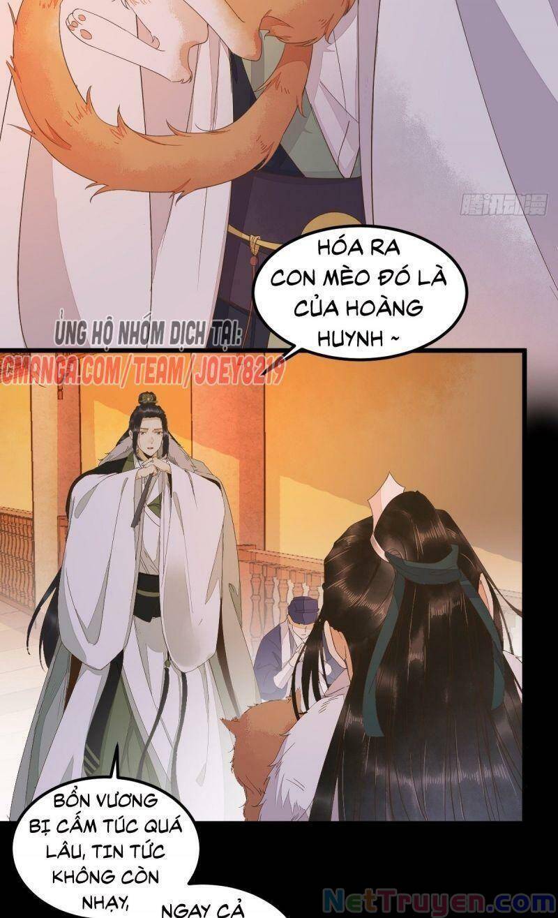 Sát Thủ Vương Phi Không Dễ Chọc Chapter 44 - Trang 2