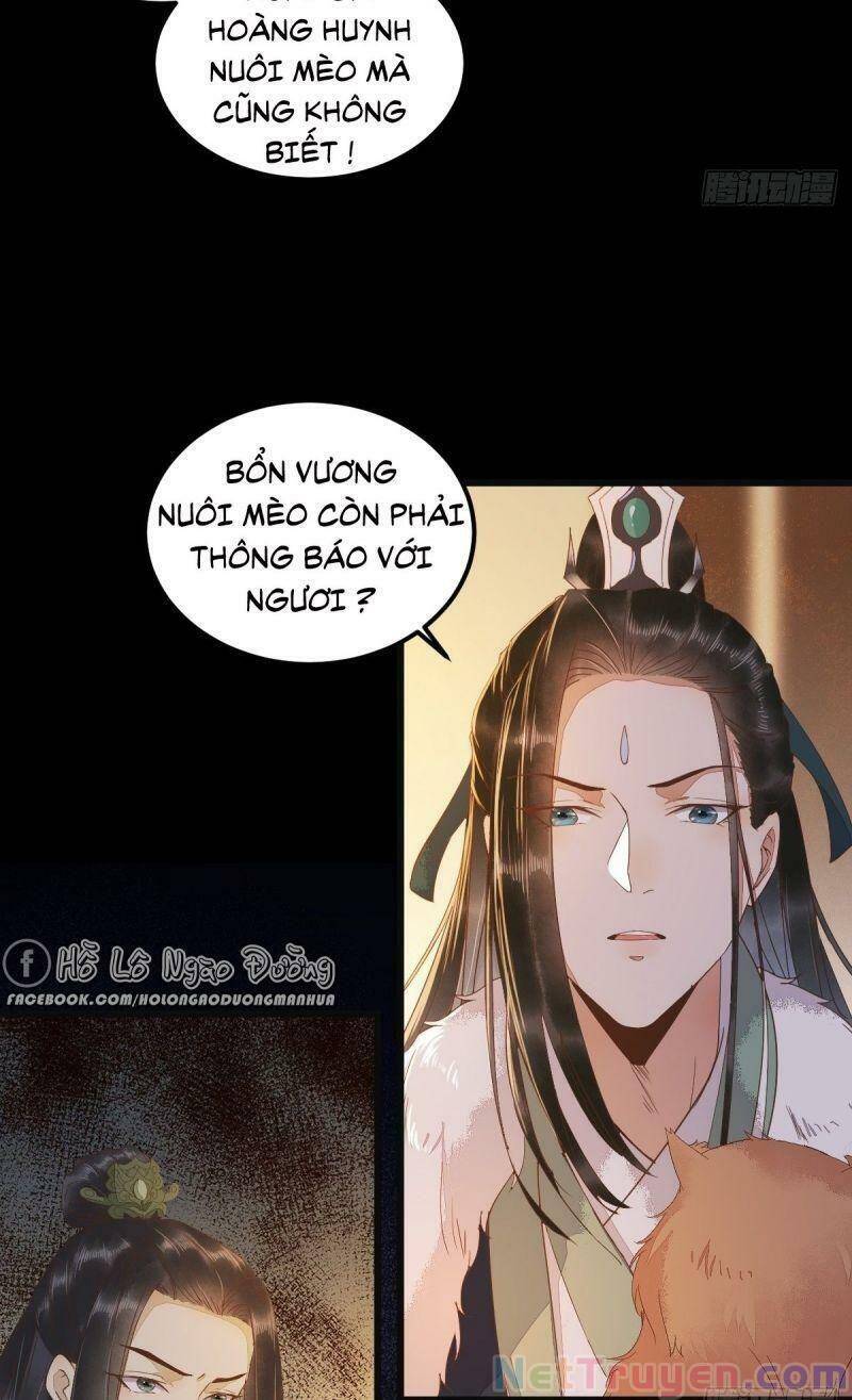 Sát Thủ Vương Phi Không Dễ Chọc Chapter 44 - Trang 2