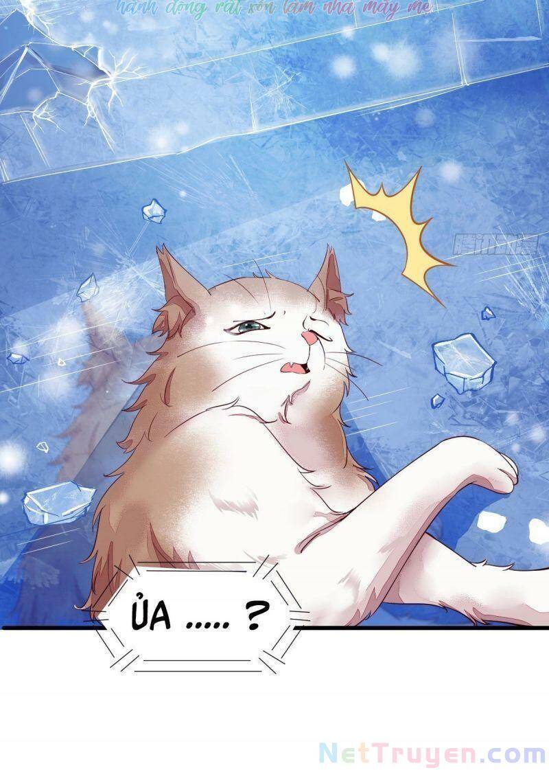 Sát Thủ Vương Phi Không Dễ Chọc Chapter 44 - Trang 2