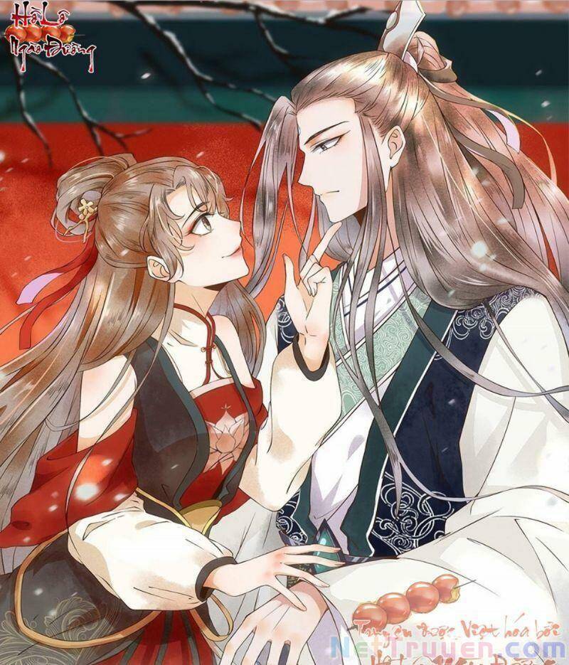 Sát Thủ Vương Phi Không Dễ Chọc Chapter 45 - Trang 2