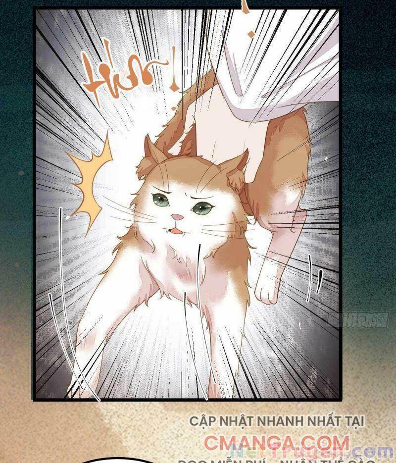 Sát Thủ Vương Phi Không Dễ Chọc Chapter 45 - Trang 2