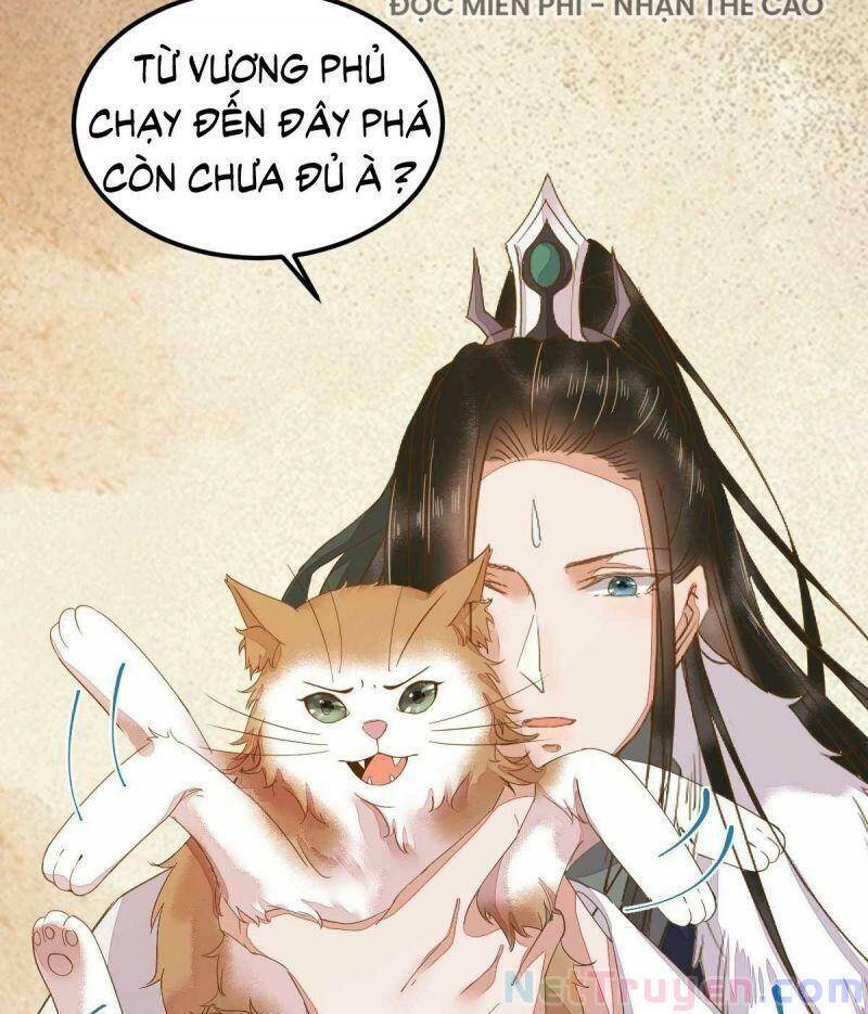 Sát Thủ Vương Phi Không Dễ Chọc Chapter 45 - Trang 2