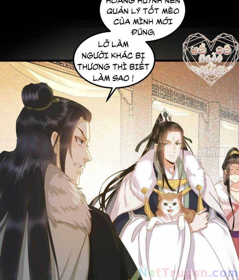 Sát Thủ Vương Phi Không Dễ Chọc Chapter 45 - Trang 2