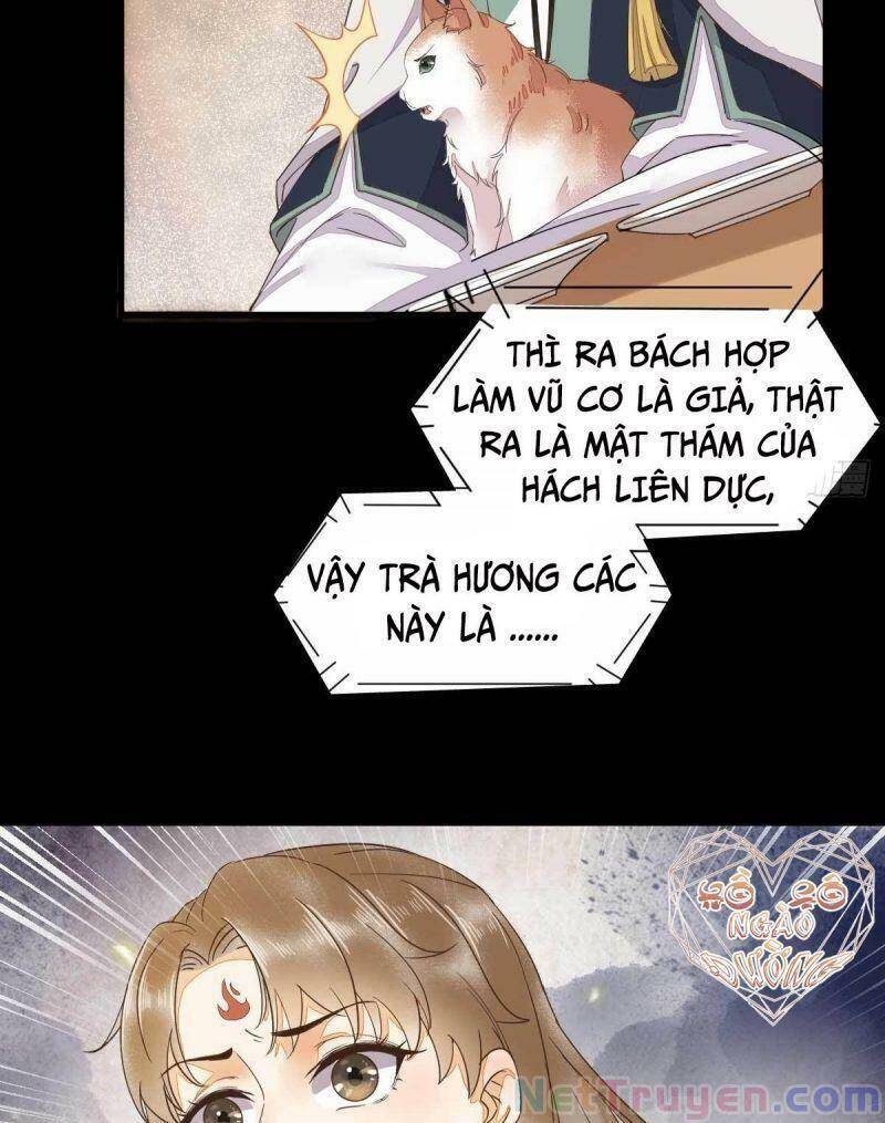 Sát Thủ Vương Phi Không Dễ Chọc Chapter 45 - Trang 2