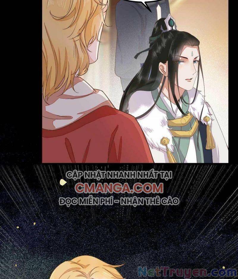 Sát Thủ Vương Phi Không Dễ Chọc Chapter 45 - Trang 2