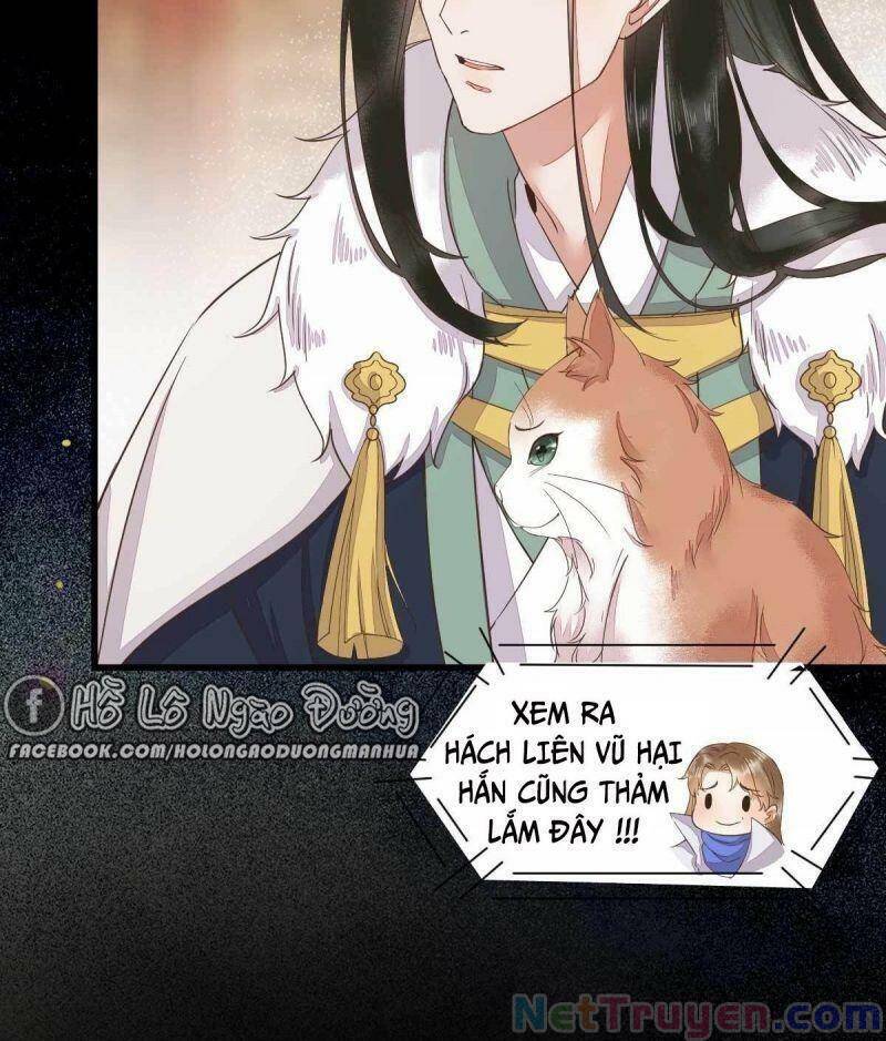 Sát Thủ Vương Phi Không Dễ Chọc Chapter 45 - Trang 2