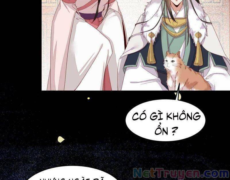 Sát Thủ Vương Phi Không Dễ Chọc Chapter 45 - Trang 2