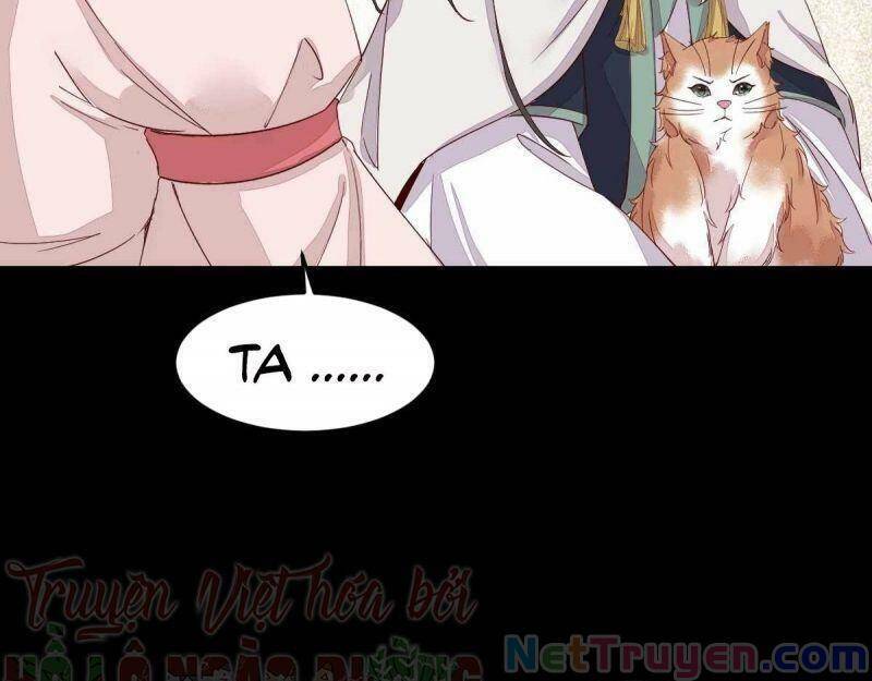 Sát Thủ Vương Phi Không Dễ Chọc Chapter 45 - Trang 2