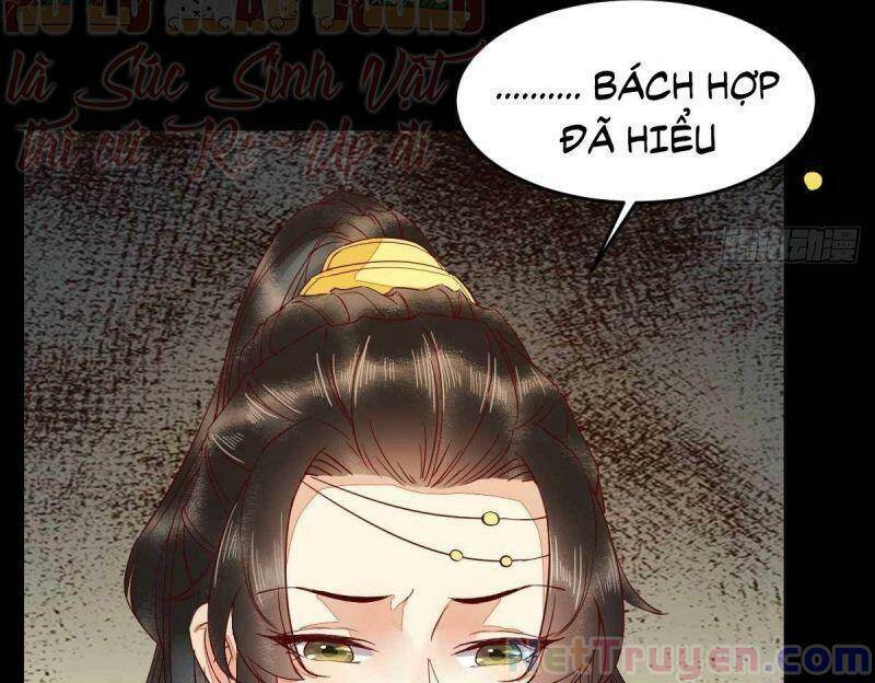 Sát Thủ Vương Phi Không Dễ Chọc Chapter 45 - Trang 2