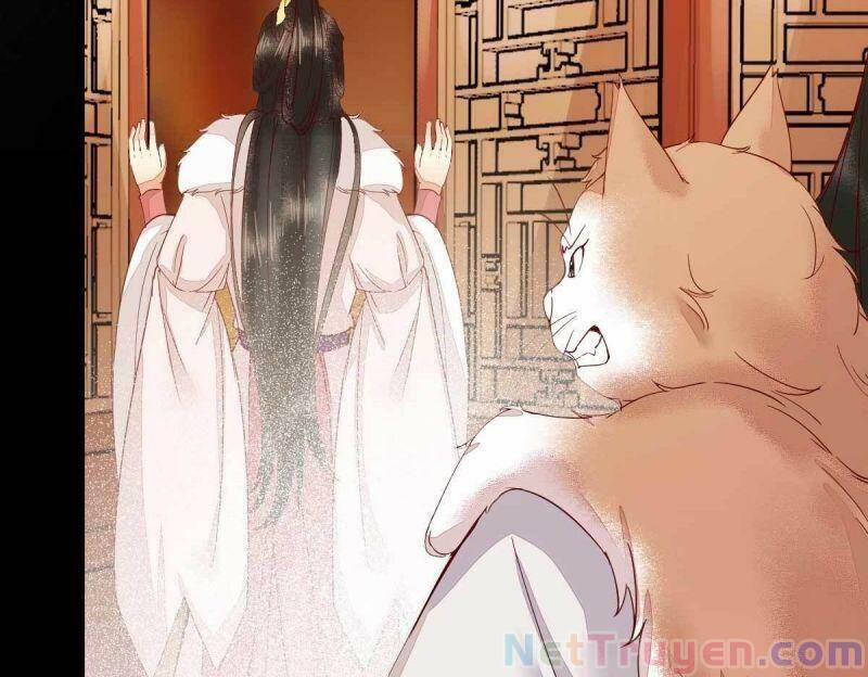 Sát Thủ Vương Phi Không Dễ Chọc Chapter 45 - Trang 2