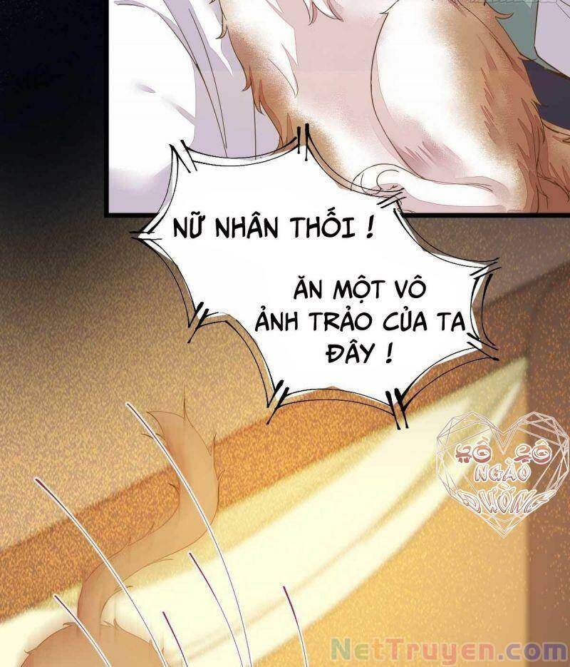 Sát Thủ Vương Phi Không Dễ Chọc Chapter 45 - Trang 2