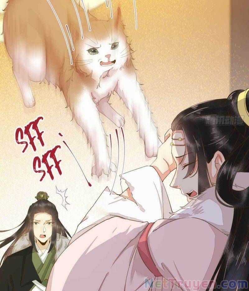 Sát Thủ Vương Phi Không Dễ Chọc Chapter 45 - Trang 2