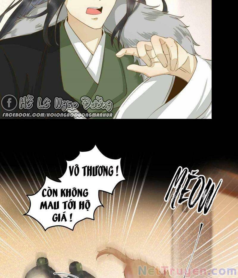 Sát Thủ Vương Phi Không Dễ Chọc Chapter 45 - Trang 2