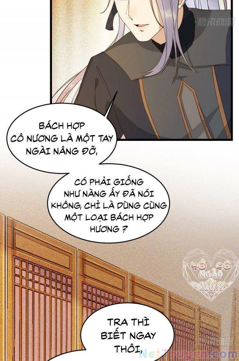 Sát Thủ Vương Phi Không Dễ Chọc Chapter 46 - Trang 2