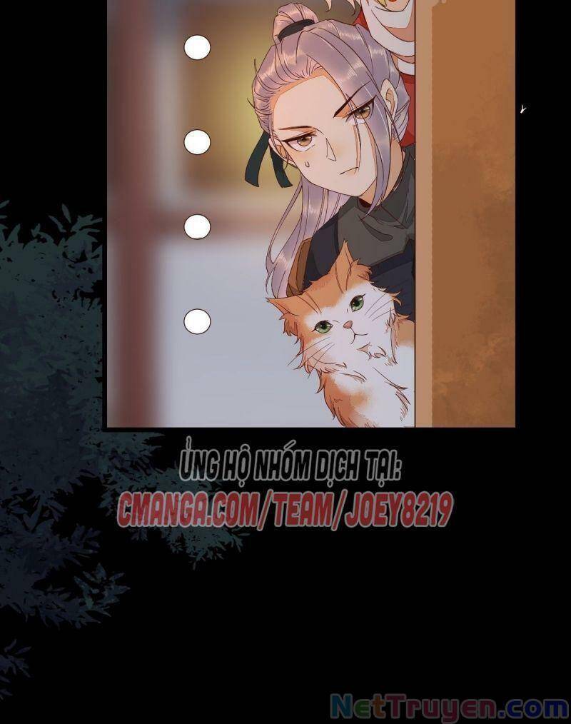 Sát Thủ Vương Phi Không Dễ Chọc Chapter 46 - Trang 2