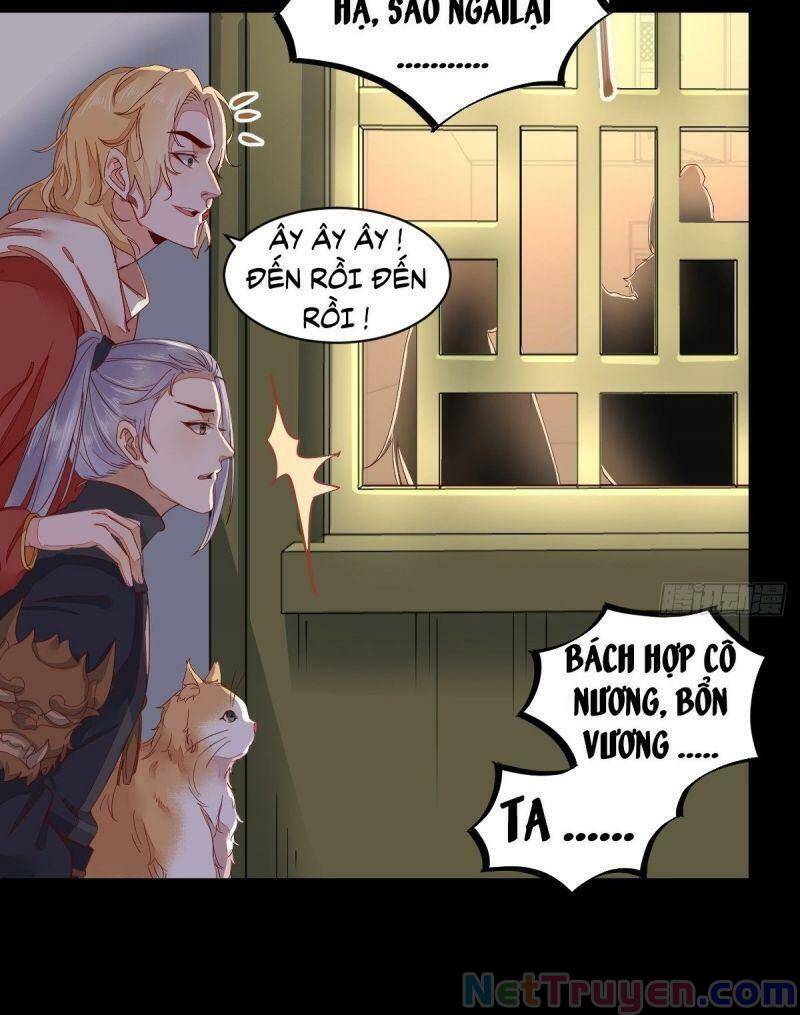 Sát Thủ Vương Phi Không Dễ Chọc Chapter 46 - Trang 2