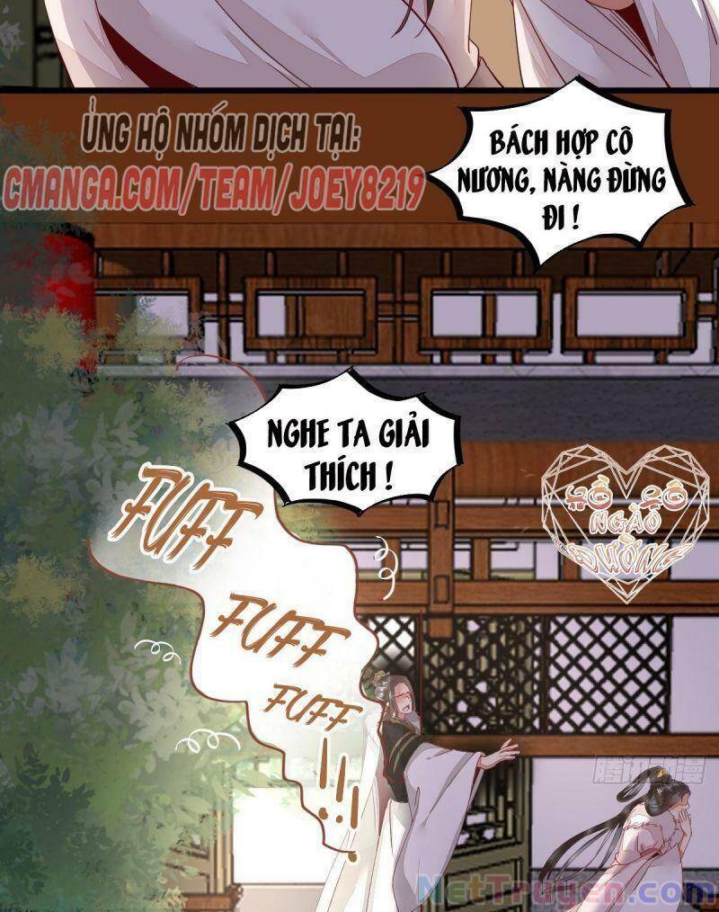 Sát Thủ Vương Phi Không Dễ Chọc Chapter 46 - Trang 2