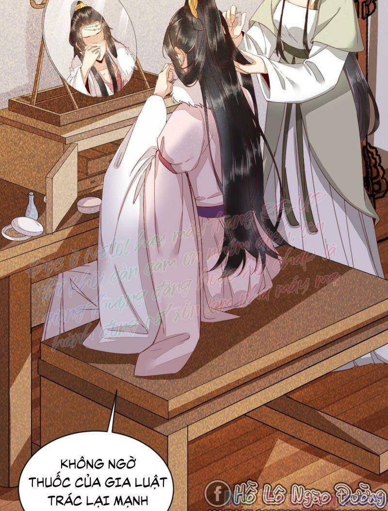 Sát Thủ Vương Phi Không Dễ Chọc Chapter 46 - Trang 2