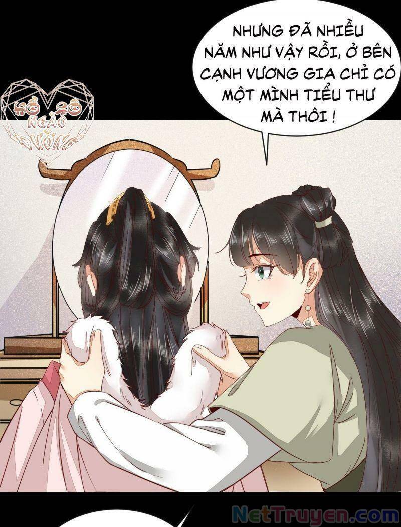 Sát Thủ Vương Phi Không Dễ Chọc Chapter 46 - Trang 2