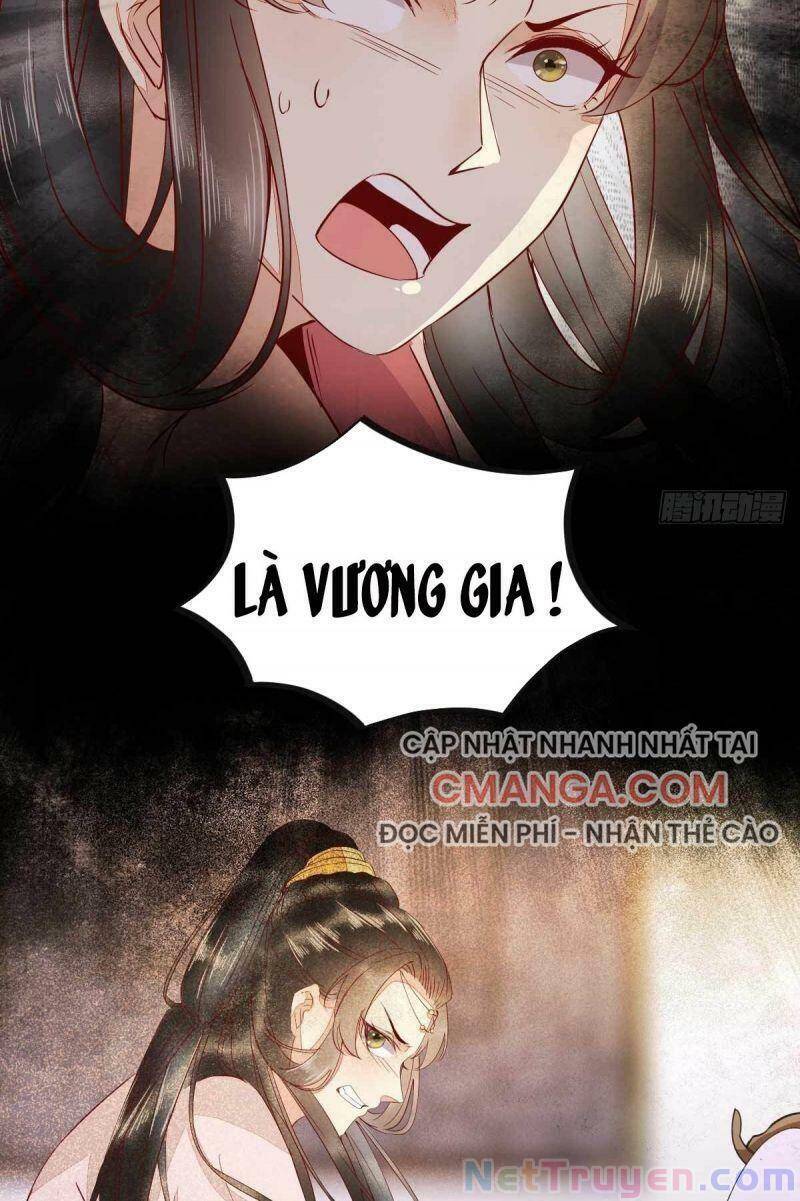 Sát Thủ Vương Phi Không Dễ Chọc Chapter 46 - Trang 2