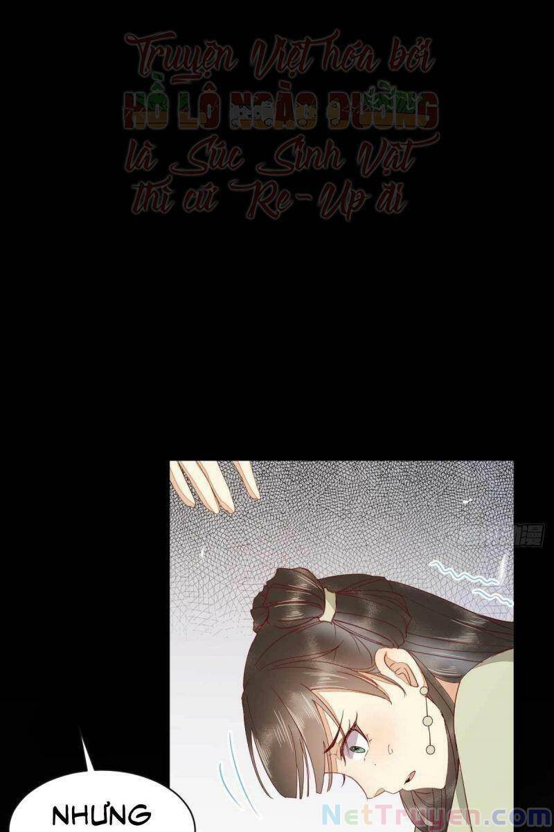 Sát Thủ Vương Phi Không Dễ Chọc Chapter 46 - Trang 2